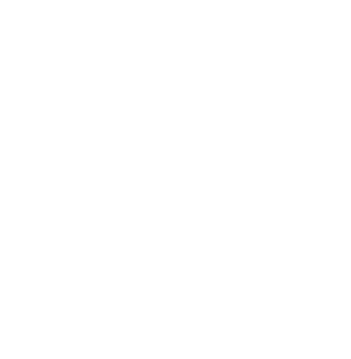 Carenet-ALPN-site-box1-icon-spiritual-impact