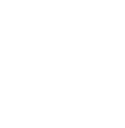 Carenet-ALPN-site-box4-icon-support-families-facing-life-decisions